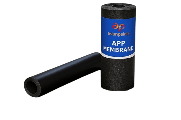 APP Membrane